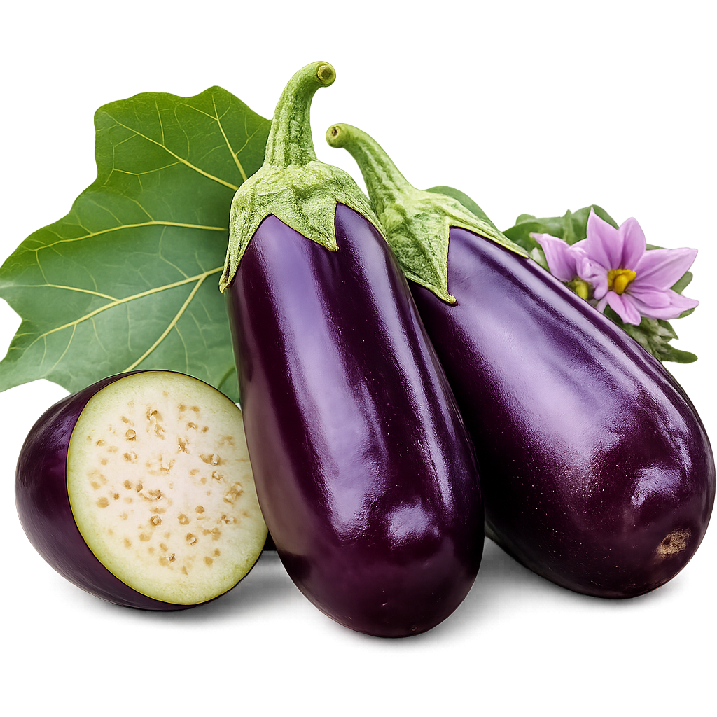 brinjal