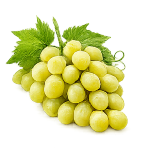 Seedless Green Grapes