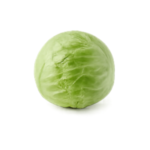 Green Cabbage