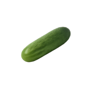 Hybrid Cucumber