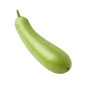 Bottle Gourd