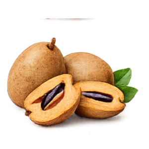 Chikoo (Sapota)