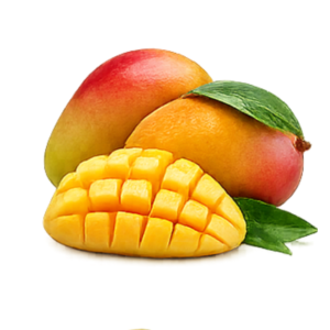 Alphonso Mango